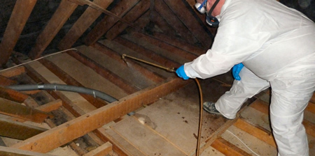 Servicii de tratare insecto-fungicidă a lemnului